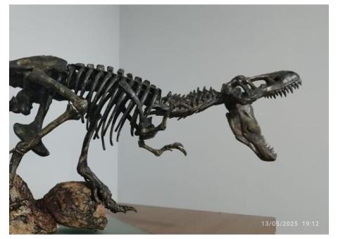 Trex para decoração